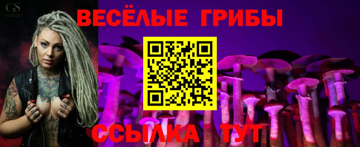 Губкинский  Галлюциногенные грибы Psilocybine cubensis  Вход с VPN 